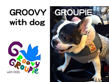 GROOVYGROUPIE with dog