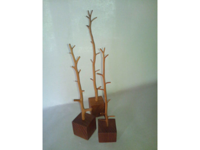 森の家　和楽生